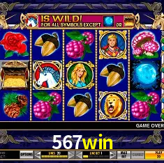 567win Rio de Janeiro - Bonus Terms